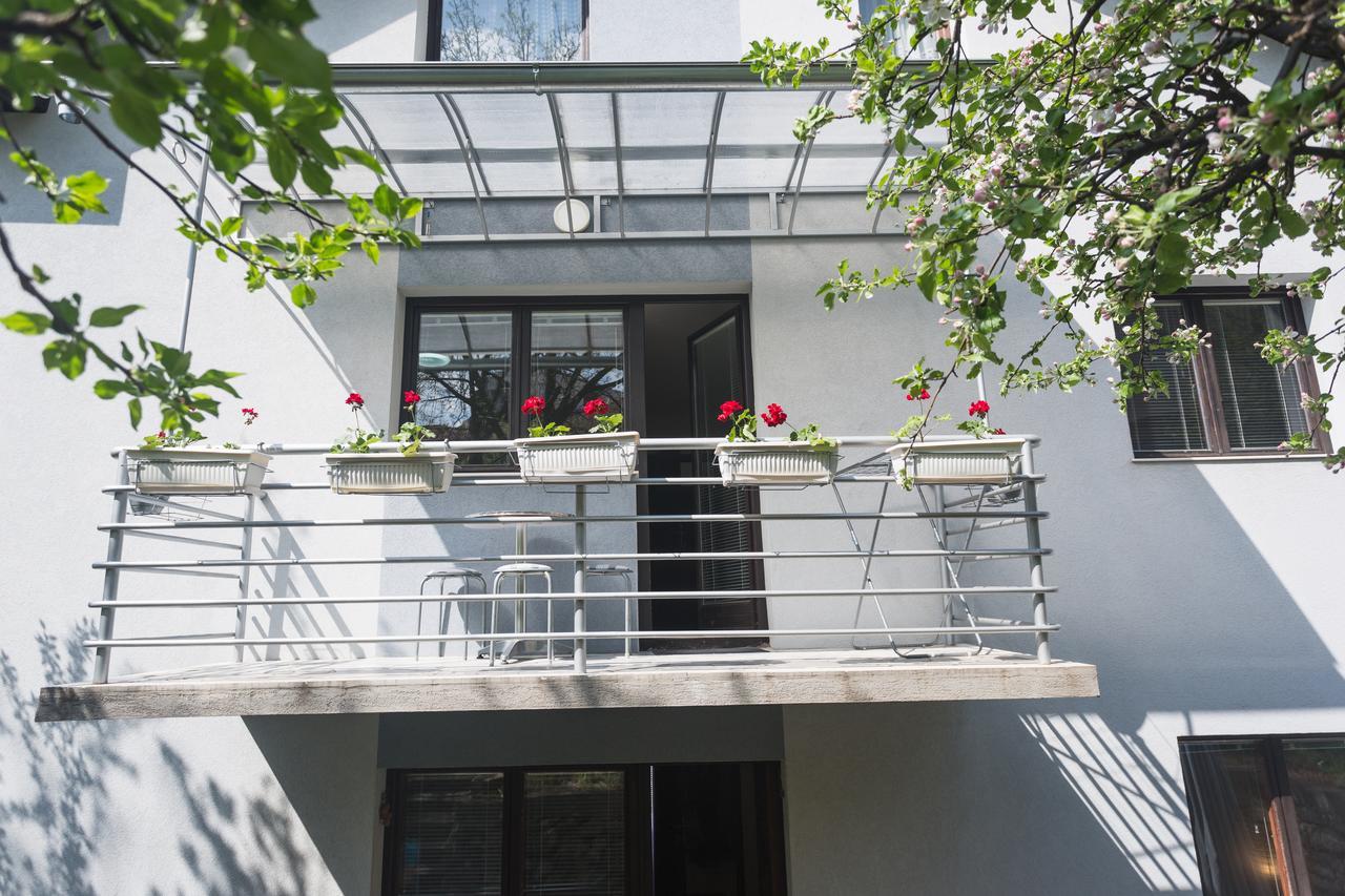 Guest House SokoDream Sokobanja Extérieur photo